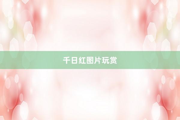 千日红图片玩赏